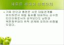 재일동포 발표 ppt 36페이지