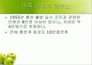 재일동포 발표 ppt 39페이지