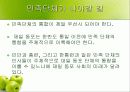 재일동포 발표 ppt 40페이지