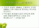 재일동포 발표 ppt 44페이지