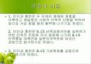 재일동포 발표 ppt 47페이지