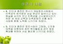 재일동포 발표 ppt 48페이지