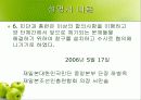 재일동포 발표 ppt 49페이지