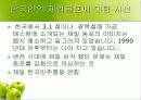 재일동포 발표 ppt 50페이지