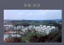 공동 주택(연립주택)의 실 사례 및 주택의 사용목적 구성 등... 5페이지