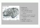 세포의 구조와 기능 6페이지