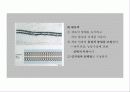 세포의 구조와 기능 12페이지