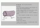 세포의 구조와 기능 13페이지