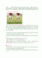 골프 숏게임 13페이지