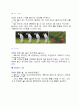 골프 숏게임 18페이지