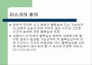 리스크관리(RM).... 3페이지