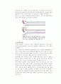 [화학공학]Laminar flow(층류) table 실험보고서 2페이지