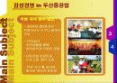 오늘날의 트랜드 - 감성경영에 대하여 14페이지