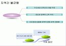 조선시대의 붕당정치를 통해 본 현대사회의 갈등 및 해결방안 9페이지