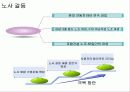 조선시대의 붕당정치를 통해 본 현대사회의 갈등 및 해결방안 10페이지