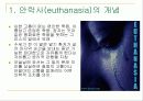 [안락사]안락사에대한 조사보고서 3페이지