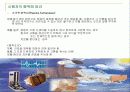 [안락사]안락사에대한 조사보고서 7페이지