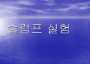 슬럼프 실험 1페이지