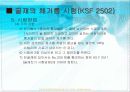골재의 체가름시험 11페이지