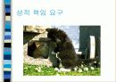 KIRIS(켄터키주 교육성적 정보시스템) PPT 자료 26페이지