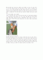 테니스 레포트 A+ 3페이지