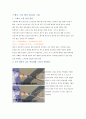 테니스 레포트 A+ 13페이지