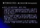 혈액 수업자료 4페이지