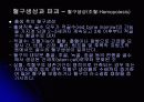 혈액 수업자료 5페이지