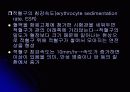 혈액 수업자료 13페이지