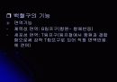 혈액 수업자료 18페이지