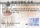 유명여성을 통해 본 성풍속(한국의 기생, 게이샤, 클레오파트라, 마를린먼로) 37페이지