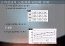 비정규직에 관한 프리젠테이션 6페이지