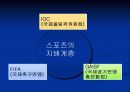 스포츠와 사회계층구조 21페이지