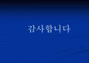 스포츠와 사회계층구조 28페이지