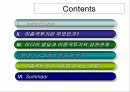 이종격투기의 문화적요소 2페이지