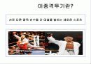 이종격투기의 문화적요소 5페이지