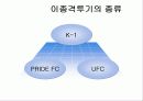 이종격투기의 문화적요소 6페이지