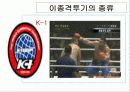 이종격투기의 문화적요소 7페이지