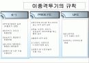 이종격투기의 문화적요소 11페이지