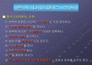 성인을대상으로하는 다이어트 프로그램 5페이지