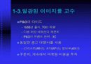 [가상기업,브랜드] 가상기업의 브랜드 전략 19페이지