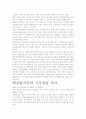 [우수 평가 독후감]황석영의 바리데기 서평- 우리에게 남기는 유산을 찾아. 3페이지