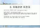 치매의 원인과 회복 4페이지