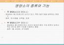 영양소의 검출 파워포인트 자료 3페이지