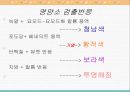 영양소의 검출 파워포인트 자료 9페이지