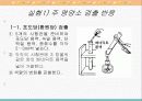 영양소의 검출 파워포인트 자료 13페이지
