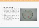 영양소의 검출 파워포인트 자료 15페이지