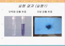 영양소의 검출 파워포인트 자료 17페이지