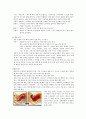 NSVD[정상분만] 6페이지