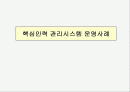 [인사관리] 핵심인력 관리시스템 운영사례 1페이지